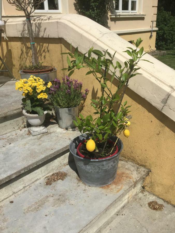 Exklusive Ferienwohnungen im Gutshaus Viezen Bernitt Exterior foto